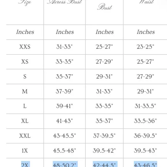 Selkie Chateau Sugarfrill Puff Dress 2X Like New Cottagecore Princess - Picture 7 of 7